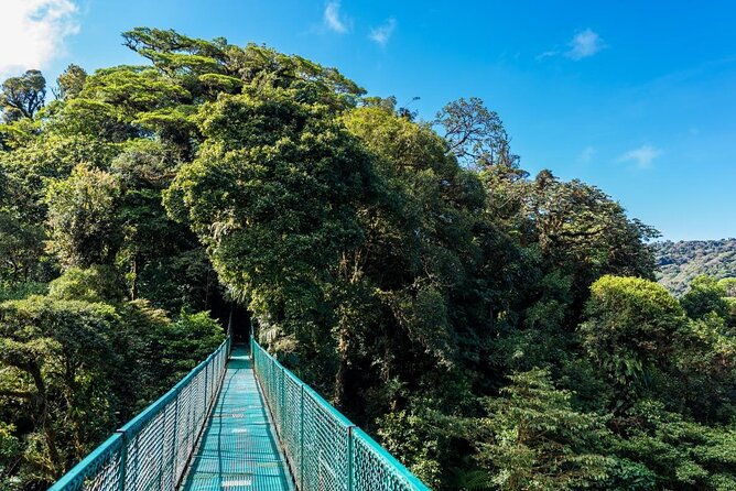selvatura-park-combo-tour-from-monteverde