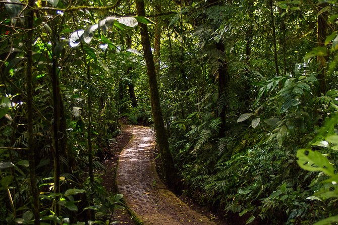 selvatura-park-combo-tour-from-monteverde