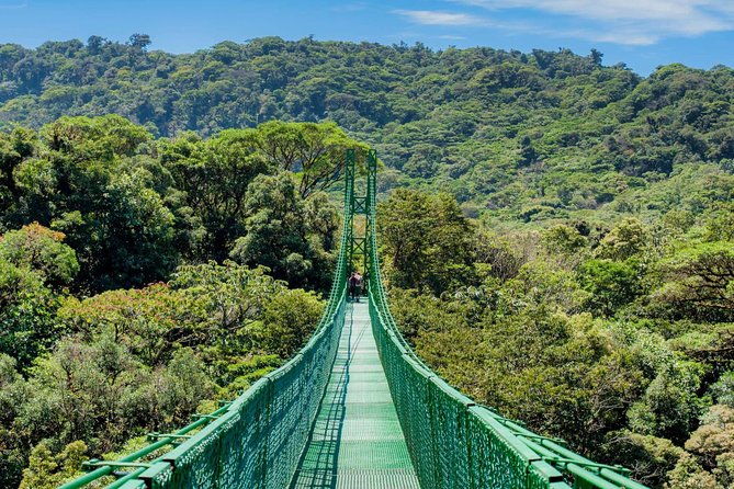 selvatura-park-hanging-bridge-tour-in-monteverde