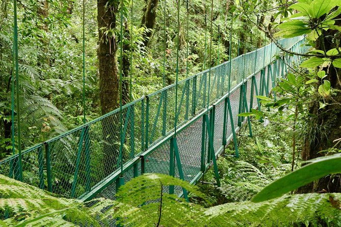 selvatura-park-hanging-bridge-tour-in-monteverde
