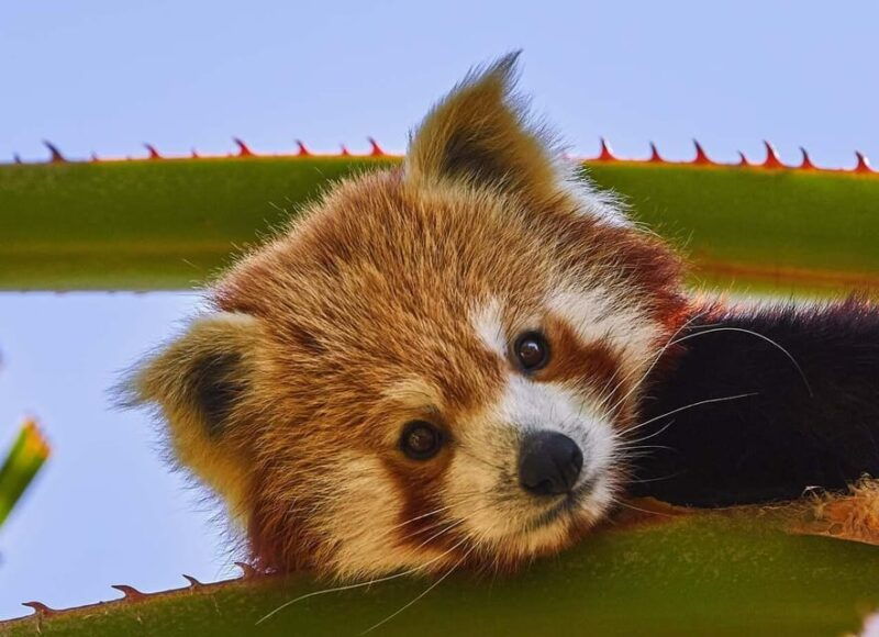 selwo-aventura-admission-ticket-with-skip-the-line-access