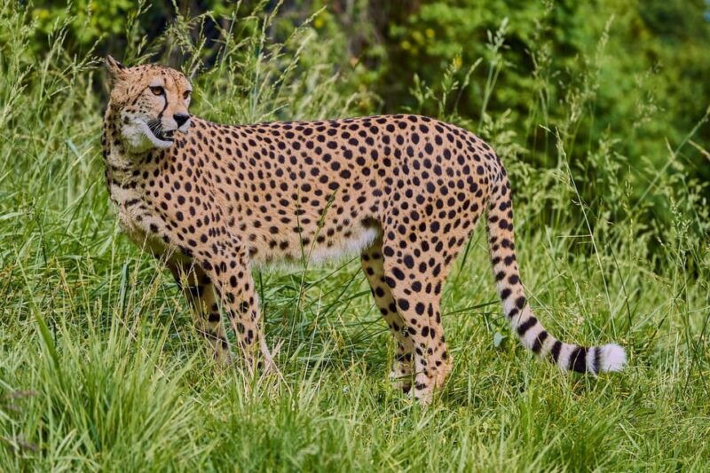 selwo-aventura-admission-ticket-with-skip-the-line-access