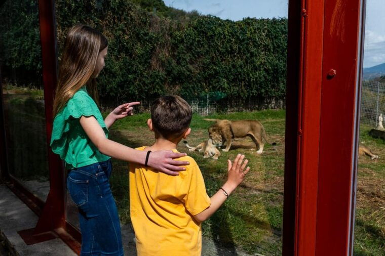 selwo-aventura-admission-ticket-with-skip-the-line-access