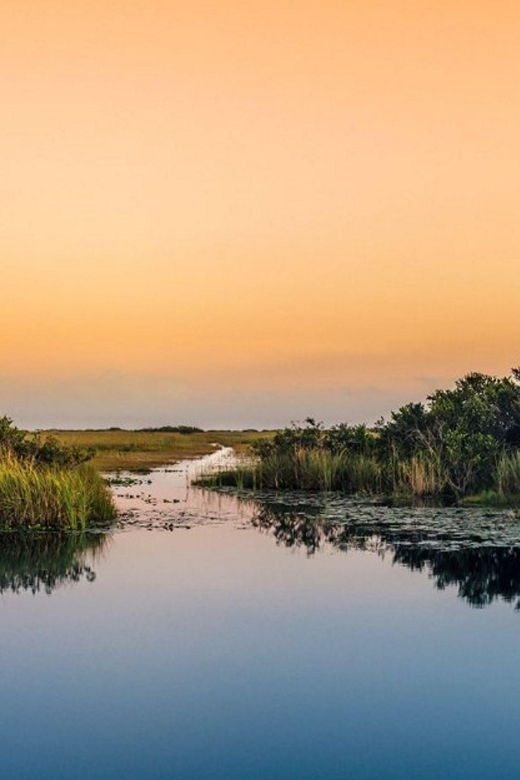 semi-private-everglades-tour-from-miami-or-fort-lauderdale