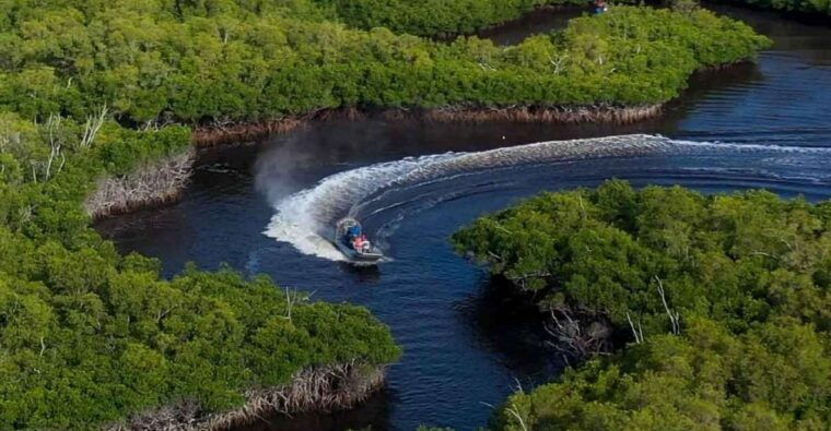 semi-private-everglades-tour-from-miami-or-fort-lauderdale