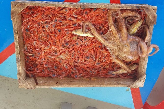 Semi - Private Fishing Tour (transportation included) - FAQ