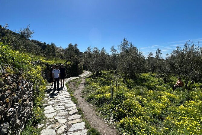 semi-private-guided-hiking-cinque-terre-tour-from-florence