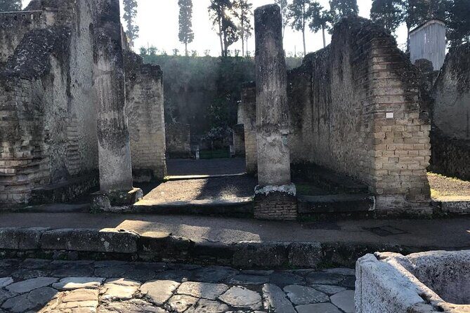 Semi-Private Guided Small-Group Tour of Herculaneum - Introduction: What to Expect from the Herculaneum Tour