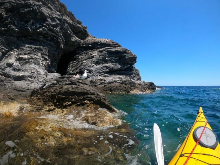 semi-private-half-day-kayaking-tours-in-milos