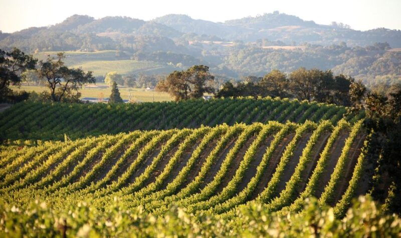 semi-private-heraklion-valley-wine-tour-with-lunch