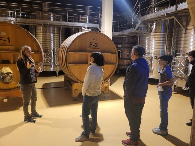 semi-private-la-rioja-tour-of-3-premium-wineries-from-bilbao-2
