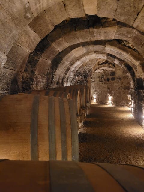 semi-private-la-rioja-tour-of-3-premium-wineries-from-bilbao-2