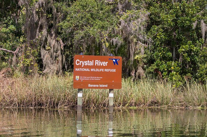 Semi-Private Manatee snorkeling with In Water Guide - An In-Depth Look at the Crystal River Manatee Snorkeling Tour