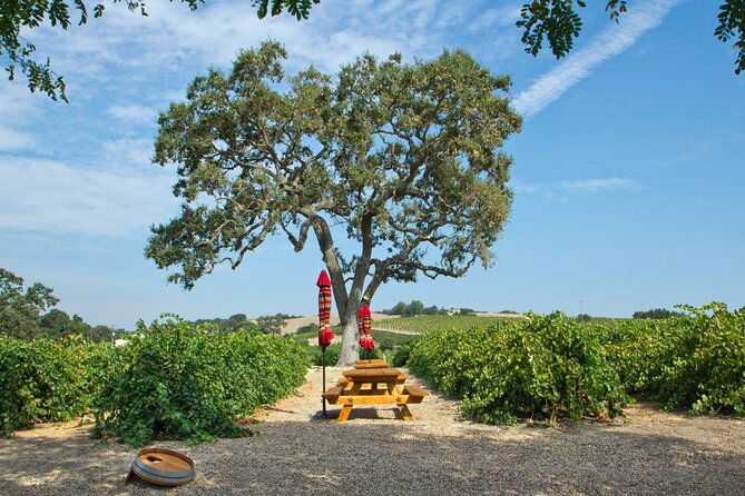 semi-private-modified-hop-on-hop-off-wine-tasting-tour-from-morro-and-cayucos