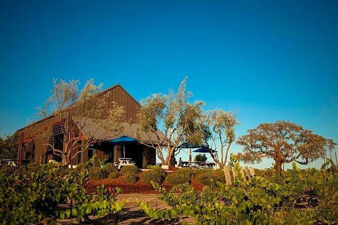 semi-private-modified-hop-on-hop-off-wine-tour-from-san-luis-obispo-pismo-2