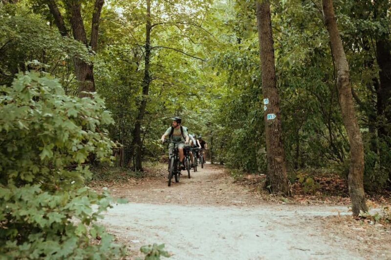 Semi-Private Off-Road eBike Tour in The Buda Hills - The Bikes & Equipment