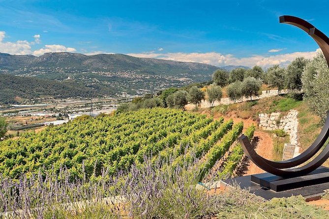 semi-private-organic-wine-food-tasting-tour-from-nice