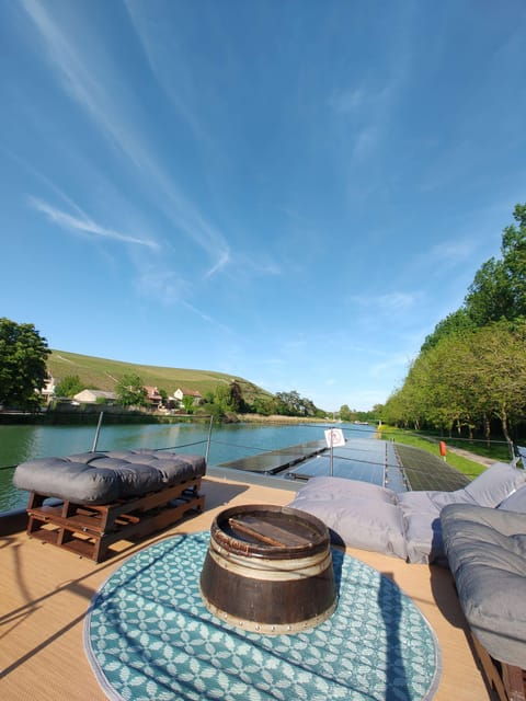 semi-private-solar-boat-cruise-in-champagne