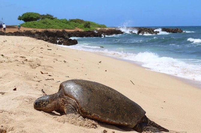 semi-private-surf-lesson-3