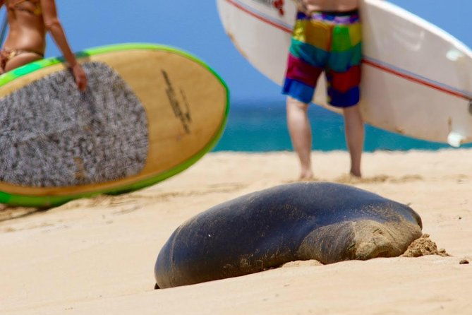 semi-private-surf-lesson-3