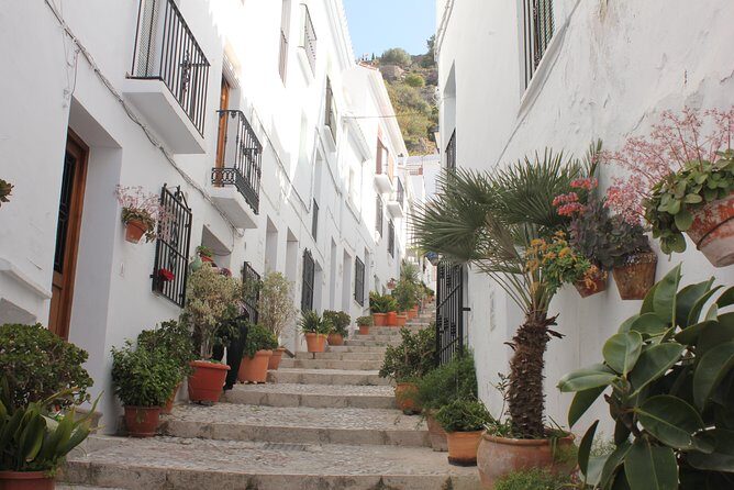 Semi-private Tour to Frigiliana and The Lost Village with lunch included - The Sum Up