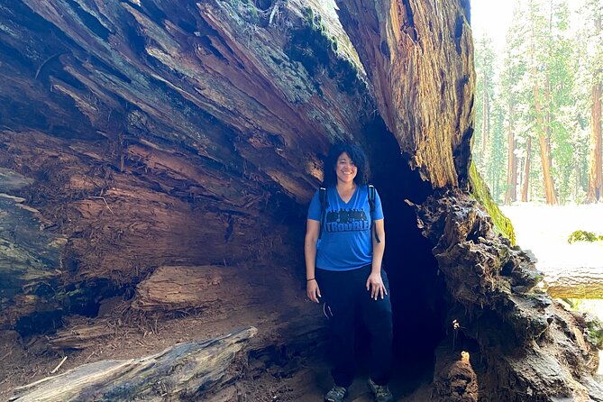 semi-private-tour-to-sequoia-national-park-with-lunch