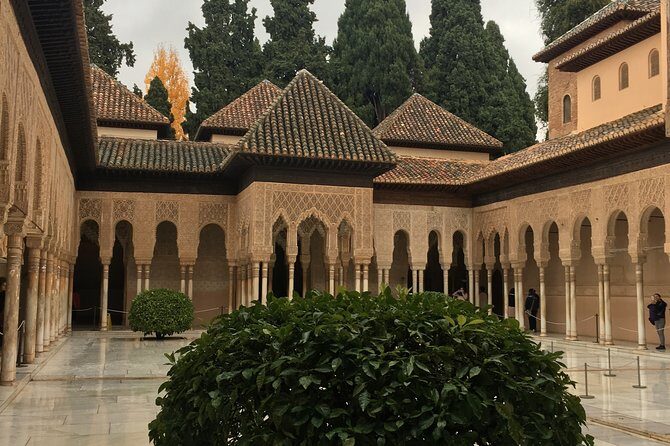 Semi Private Tour to the Alhambra from Nerja - Practical Tips for Future Travelers