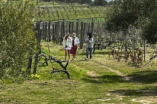 semi-private-wine-tour-of-2-wineries-with-wine-tastings