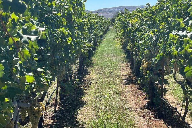 semi-private-wine-tour-of-2-wineries-with-wine-tastings