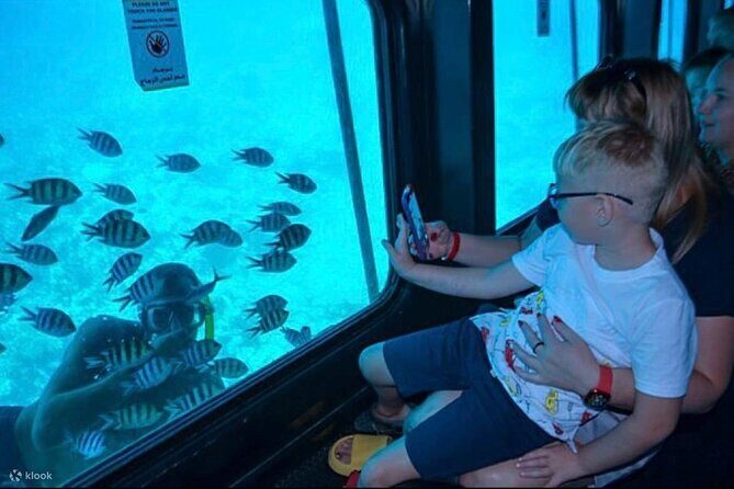 Semi Submarine Experience sea Trip With transfer from Sharm - Analyzing the Price and Value