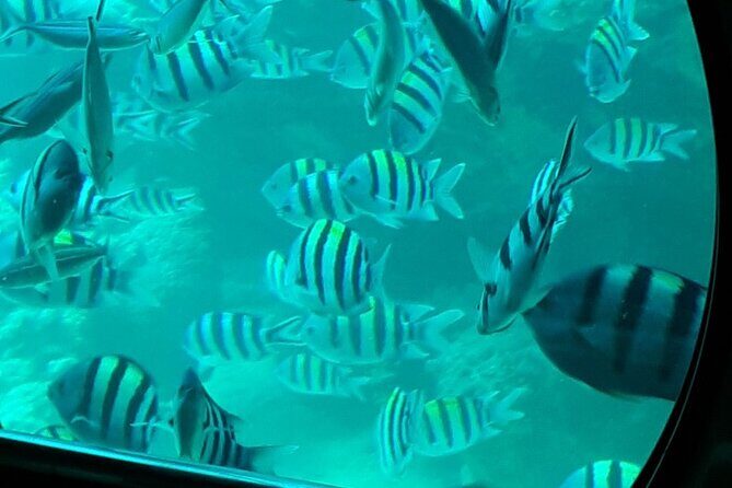 Semi-Submarine in Hurghada - How the Tour Begins