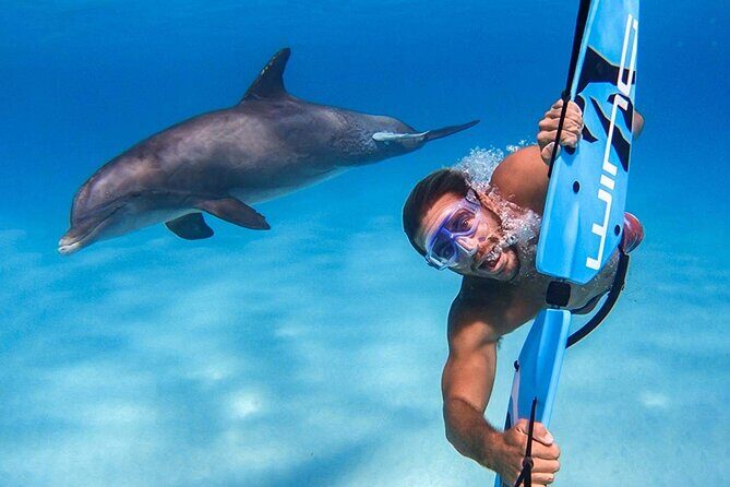 Semi Submarine Sea Trip and Parasailing & Turkish bath - Hurghada - Overview of the Experience