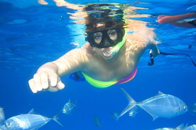 Semi-Submarine, Snorkeling Sea Trip With Transfer  Hurghada - Value and Cost Analysis