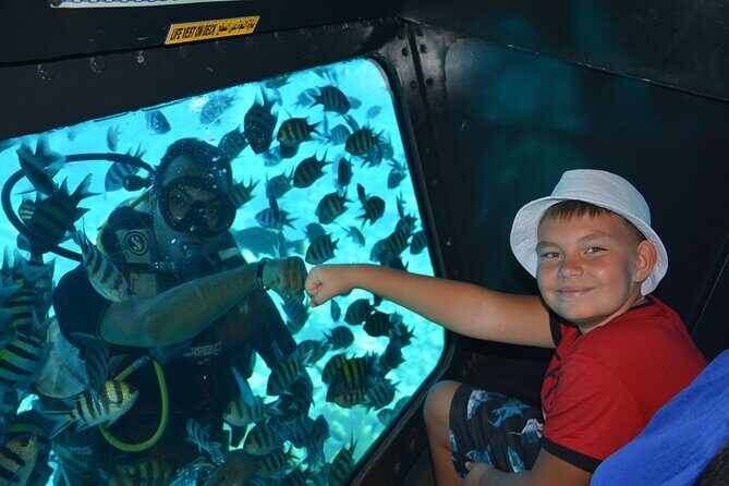Semi Submarine Tour 2 Hours With Transfer - Sharm El Sheikh - FAQ: Common Questions About the Semi-Submarine Tour