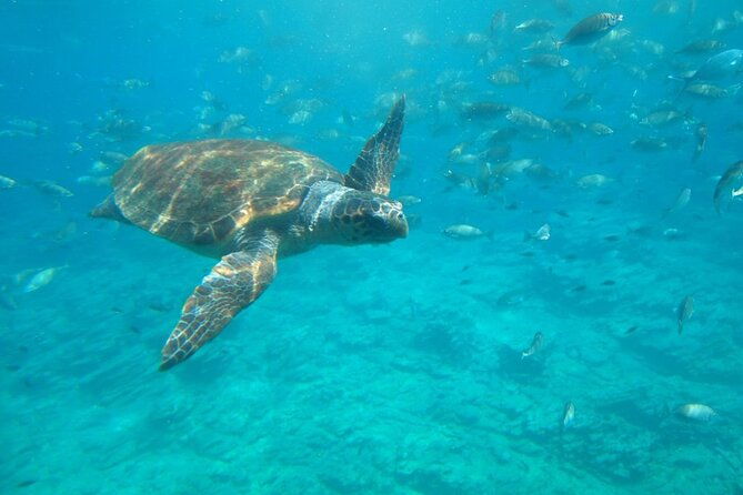 semi-submarine-tour-from-agios-nikolaos