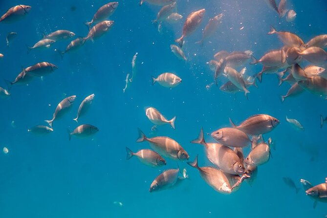 semi-submarine-tour-from-agios-nikolaos