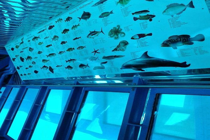 semi-submarine-tour-from-agios-nikolaos