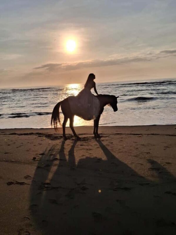 Seminyak: Bali Horse riding Adventure Seminyak Beach - Key Points