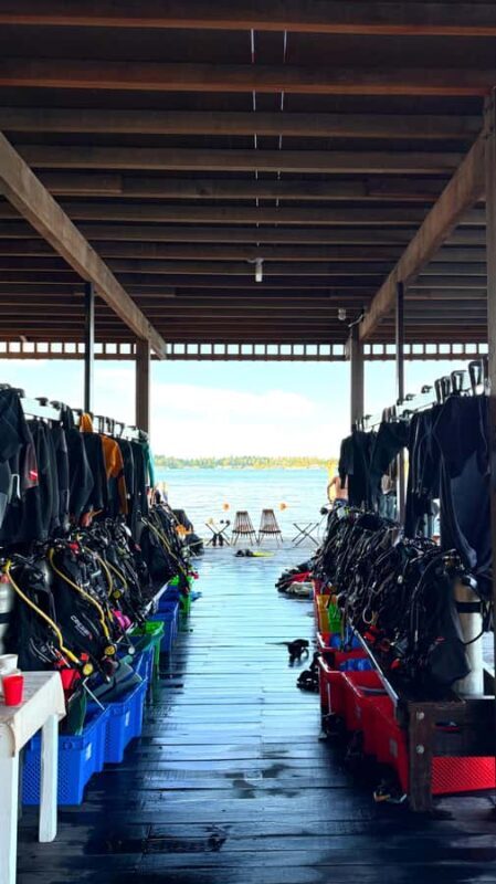 Semporna: Dive Buwan Reef at Night with Dinner & Transfer - What to Expect from the Night Dive Experience