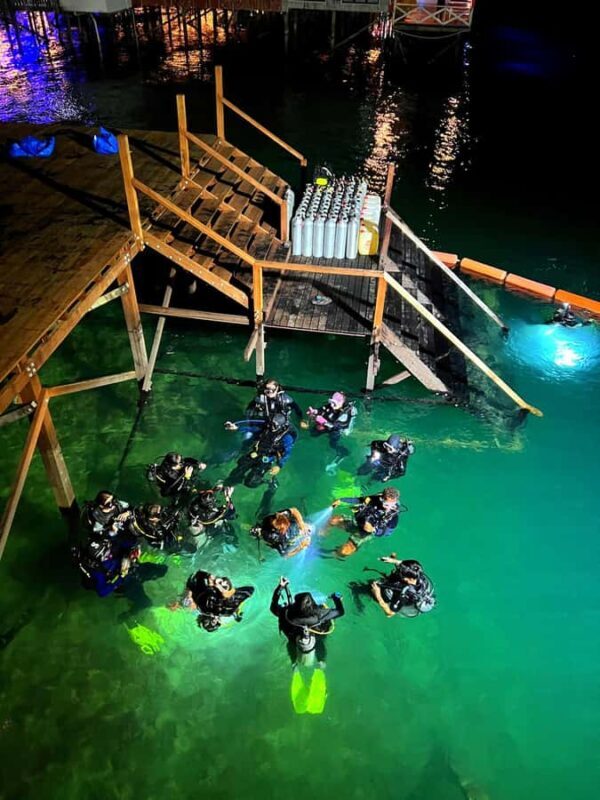 Semporna: Dive Buwan Reef at Night with Dinner & Transfer - The Micro Marine Life: Why Its Special