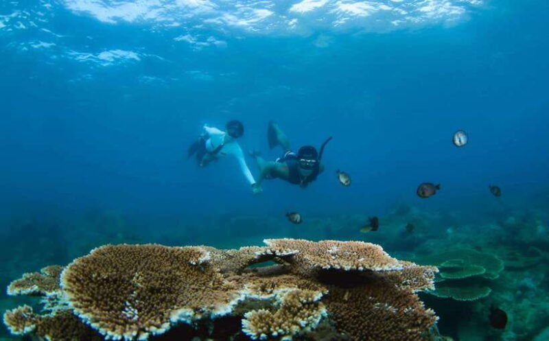 semporna-explore-3-islands-tour-snorkel-or-dive-lunch