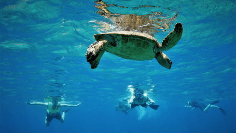 semporna-island-hopping-semporna-adventure