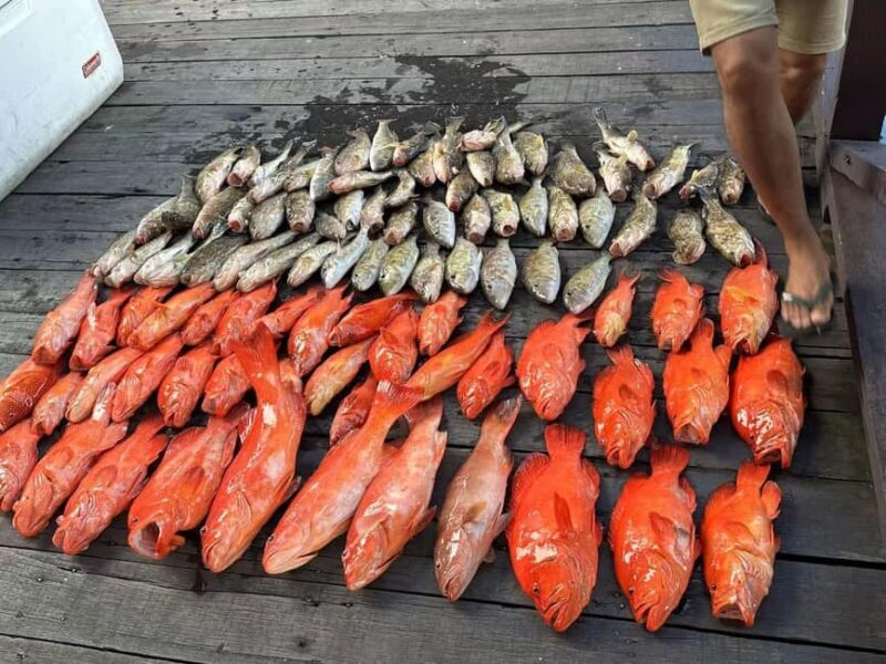 Semporna, Sabah : Fishing Day Trip with Equipment - Final Thoughts