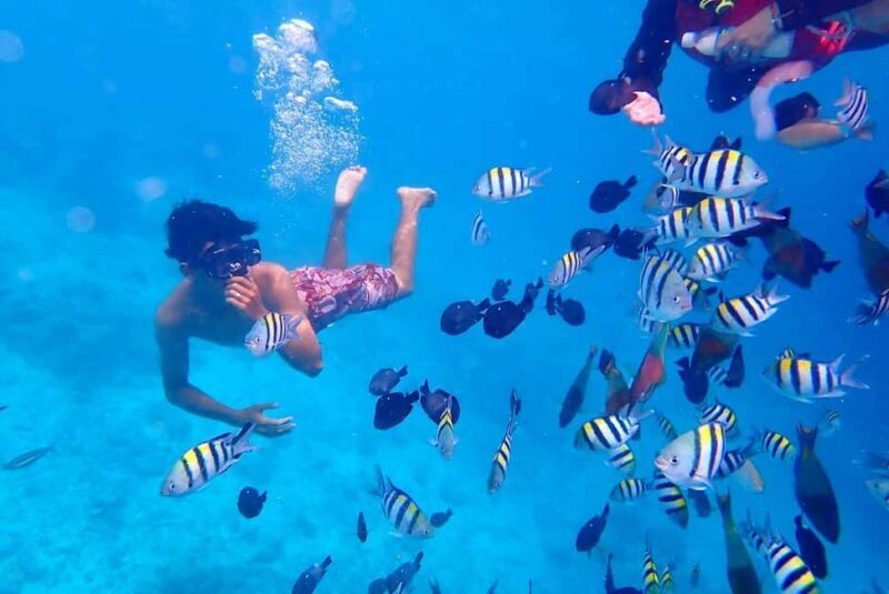 Semporna: Underwater Seawalking with Photography & Transfer - The Practical Side: Transportation, Duration, and Cost  