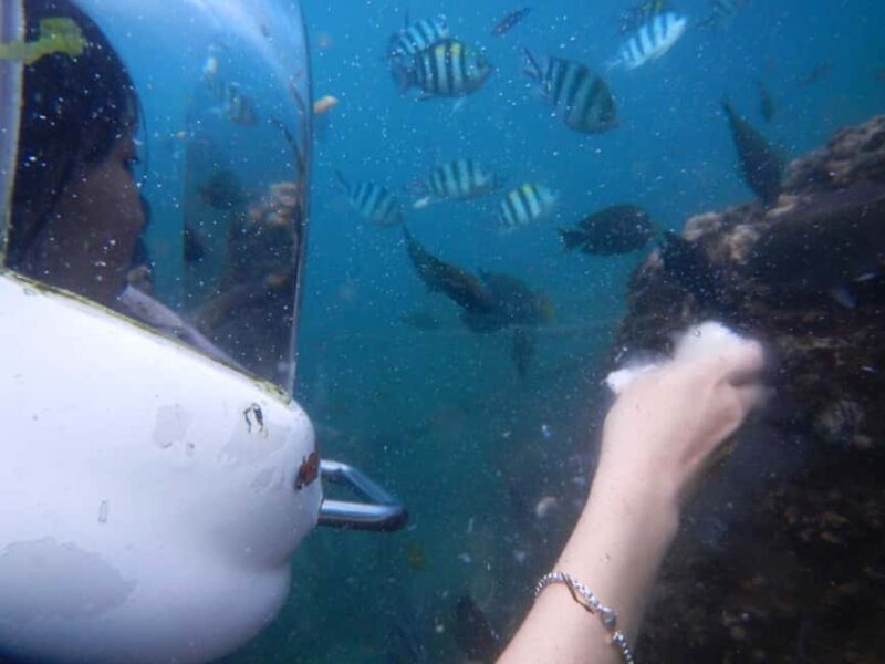 Semporna: Underwater Seawalking with Photography & Transfer - Authentic Experiences From Travelers  