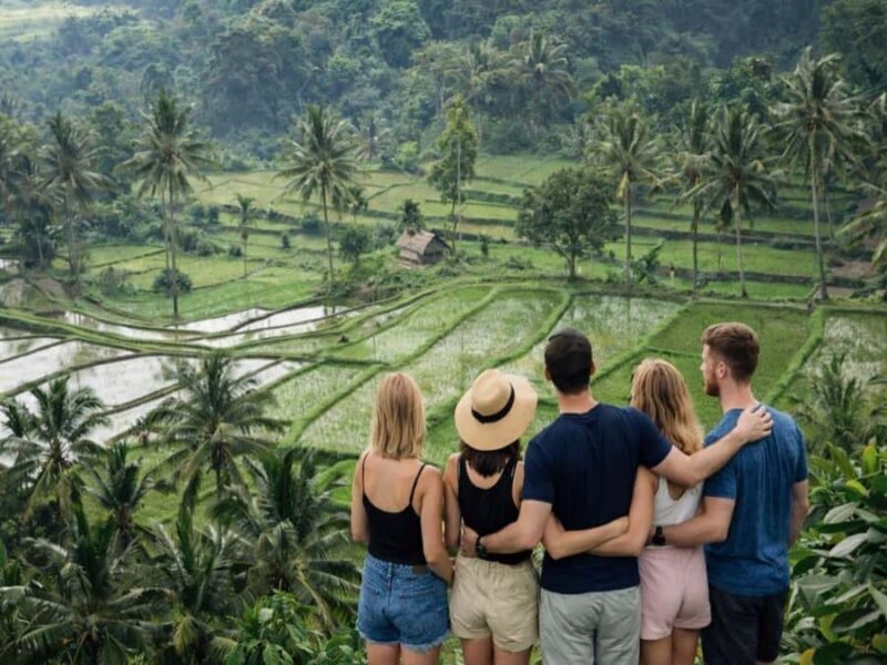 Senaru One Day Tours Traditional House And Green Rice Fields - Key Points