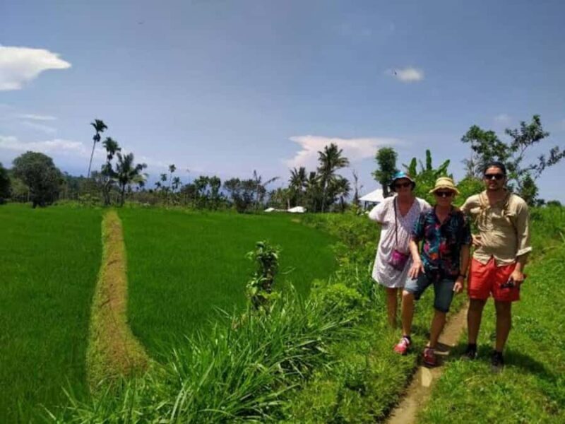 Senaru One Day Tours Traditional House And Green Rice Fields - An In-Depth Look at the Experience