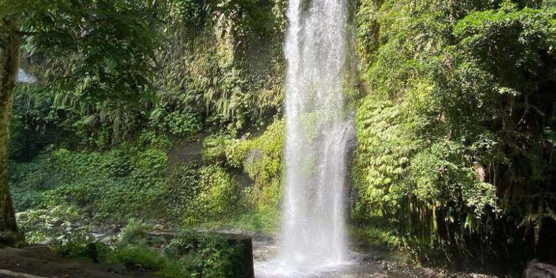 senaru-soft-trekking-tour