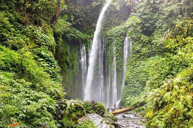 Sendang Gile and Tiu Kelep Waterfall Tour - Private Day Tour - Discovering Lombok’s Northern Charm: An Overview