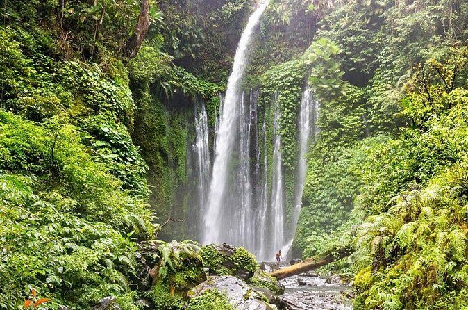 Sendang Gile and Tiu Kelep Waterfall Tour - Private Day Tour - Who Will Appreciate This Tour?